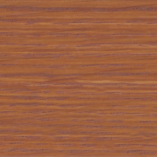 Douglasie E-TE 0061
