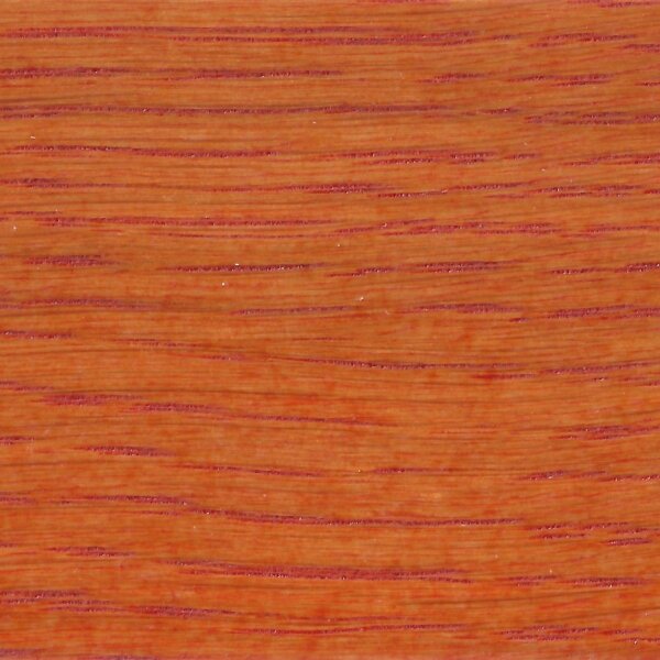 Orange E-G0 0030